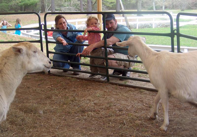 From left, Mattapoisett residents Sarah Stoker, Eli and Dave Rickson try to coax lambs over at the event’s petting zoo. BY MATTHEW BERNAT